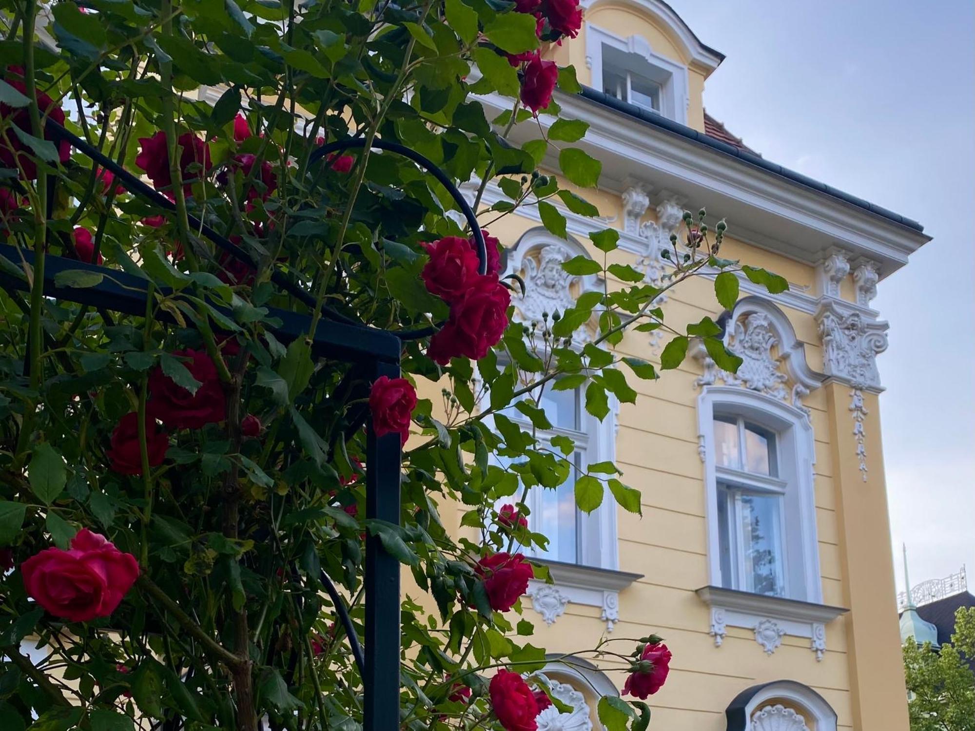 Apartmán Salve Teplice Exteriér fotografie